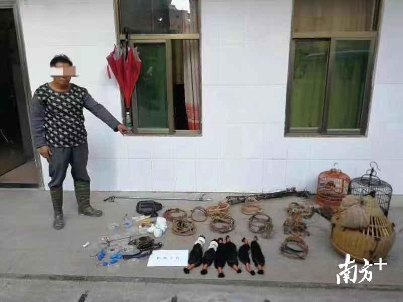 八一双鹿男篮最新消息,八一双鹿男篮最新消息，球场之外的自然之旅