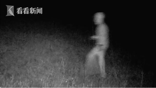 技术咨询 第111页
