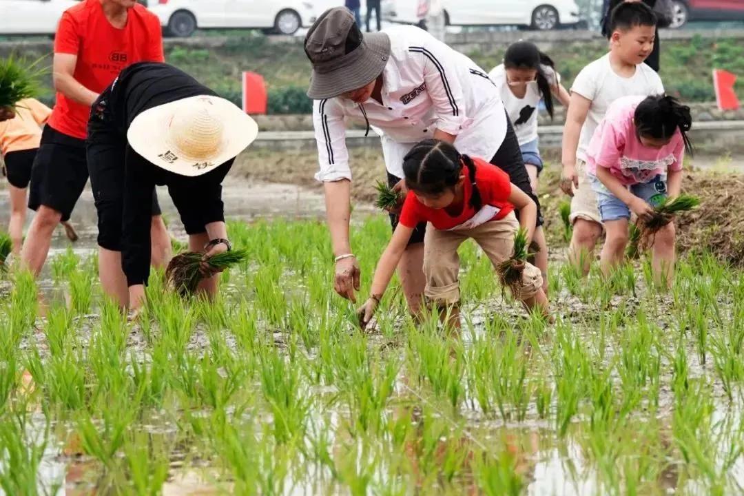 鹿山街道最新资讯,鹿山街道最新资讯