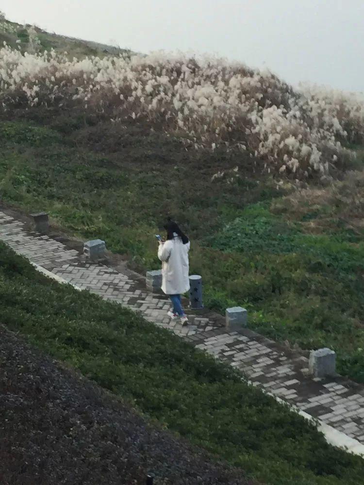 明星素质,明星素质，一场心灵与自然的美景之旅